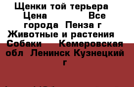 Щенки той терьера › Цена ­ 10 000 - Все города, Пенза г. Животные и растения » Собаки   . Кемеровская обл.,Ленинск-Кузнецкий г.